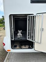 Wohnmobilvermietung hund-up-padd.de / Mit dem Hund Urlaub im Wohnmobil - Top-Hundeurlaub