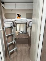 Wohnmobilvermietung hund-up-padd.de / Mit dem Hund Urlaub im Wohnmobil - Top-Hundeurlaub