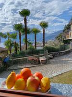 Gartenblick - Augusta - Top-Hundeurlaub