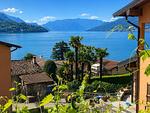 Schöne Umgebung mit Palmbäumen - Augusta - Top-Hundeurlaub