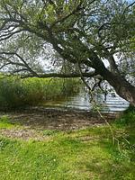 Gartenblick - Ferienhaus "Sjö Hus" Pülsen - Köhn - Top-Hundeurlaub
