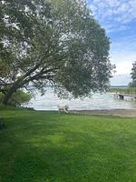 Gartenblick - Ferienhaus "Sjö Hus" Pülsen - Köhn - Top-Hundeurlaub
