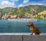 Donauzauber - All Inclusive Flusskreuzfahrt mit Hund - Top-Hundeurlaub