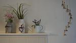 Dekoratives Detail - Haus 95 - Top-Hundeurlaub