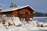 Hauptansicht - Dominique - Feriendorf Via Claudia Haus 100 - Top-Hundeurlaub