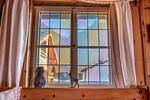 AlpenPuls - Top-Hundeurlaub