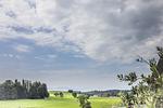Aussicht - Schottenhof Walser 3 - Top-Hundeurlaub