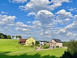 Natur - Schottenhof Walser 4 - Top-Hundeurlaub