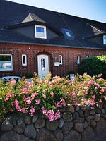 Dünen-Cottage - Top-Hundeurlaub