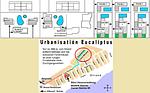 Eingefriedetes Ferienhaus Vista Mar mit Pool  für 6 Personen und in Strandnähe - Top-Hundeurlaub