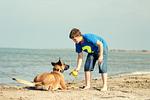 Eingefriedetes Ferienhaus Vista Mar mit Pool  für 6 Personen und in Strandnähe - Top-Hundeurlaub