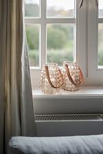 Leo - Top-Hundeurlaub