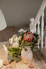 Leo - Top-Hundeurlaub