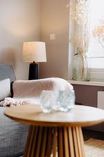 Seetiid - Top-Hundeurlaub