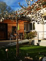Il Giardino - Top-Hundeurlaub