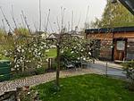 Il Giardino - Top-Hundeurlaub