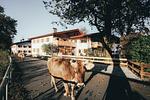 Luna Mia Apartment 2 - Top-Hundeurlaub