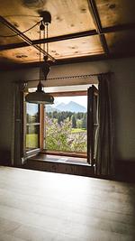 Luna Mia Apartment 5 - Top-Hundeurlaub