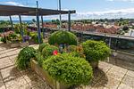 Meerblick - Berolina 112 - Lucy - Top-Hundeurlaub