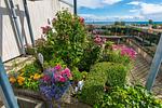 Meerblick - Berolina 112 - Lucy - Top-Hundeurlaub