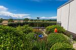 Terrasse - Berolina 112 - Lucy - Top-Hundeurlaub