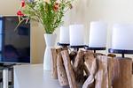 Wohnzimmer mit Kerzenhaltern und Fernseher - Nathalie - Top-Hundeurlaub