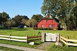 Garten - Küstenhof am Kap Arkona - Ferienwohnung "Sonnenuntergang" - Top-Hundeurlaub