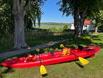 Sport / Aktivitäten - Seeblick Warin - Top-Hundeurlaub