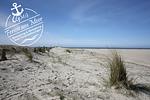 Haus Plesse - Top-Hundeurlaub