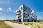 Hauptansicht - BeachWaveTwo - Top-Hundeurlaub