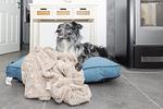 Dekoratives Detail - Auszeithaus Wybelsum - Top-Hundeurlaub