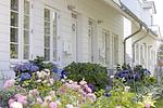 Fassade / Eingang - Livland Huus - Top-Hundeurlaub