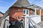 Balkon - Stranddistel - Top-Hundeurlaub