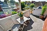 Balkon - Stranddistel - Top-Hundeurlaub