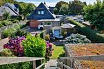 Gartenblick - Stranddistel - Top-Hundeurlaub