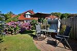 Terrasse - Stranddistel - Top-Hundeurlaub
