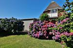 Gartenblick - Stranddistel - Top-Hundeurlaub
