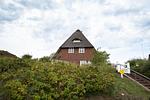 Hauptansicht - Andy - Top-Hundeurlaub