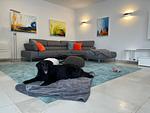 Villas Plava Voda A+B mit Pool direkt am Meer, Alleinlage - Top-Hundeurlaub