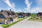 Nachbarschaft - Ferienwohnung Wandashorst 25 Feriendorf Klein Stresow Rügen - Top-Hundeurlaub