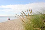 Strand - FeWo13: Strand,Balk,Pool,Sauna - Top-Hundeurlaub