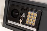 Dekoratives Detail - Nis Puk - Top-Hundeurlaub