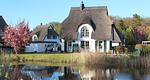 Hauptansicht - Ferienhaus Schilfrohrsänger 21-Teichperle- - Top-Hundeurlaub