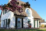 Ferienhaus Schilfrohrsänger 21-Teichperle- - Top-Hundeurlaub