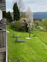 Romantik Appartements Glashütt - Top-Hundeurlaub