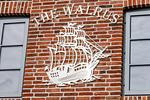 Dekoratives Detail - The Walrus - Top-Hundeurlaub