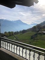 Balkon - Jessi - Top-Hundeurlaub