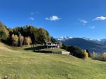 Hauptansicht - Jessi - Top-Hundeurlaub