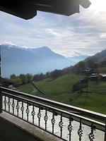 Balkon - Jessi - Top-Hundeurlaub