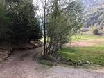 Landschaft - Jessi - Top-Hundeurlaub